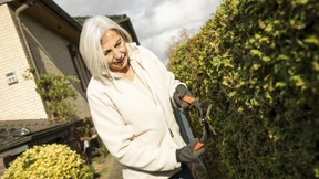 Die süße Verlockung des frühen Ruhestandes