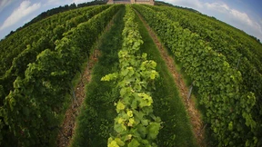 Eine Eins im Zwischenzeugnis