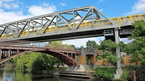 Der Affe schreit, der König herrscht