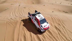 Das große Ziel des Fernando Alonso