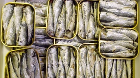 Verdorbenen Fisch serviert – eine Frau tot, mindestens zehn Menschen vergiftet