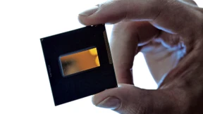 Live in Saug und Braus