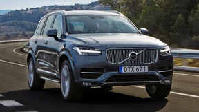 Porzellan im Elefantenladen