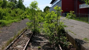 „Der Fehler war zu sagen: Eure Lebensweise muss sich nicht ändern“