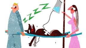 Weg mit dem Stein  im Darm des Hundes