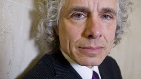 Pinker und die Antifa