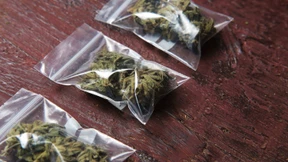 Millionenhandel mit 660 Kilo Marihuana