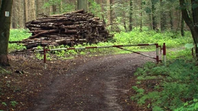 Polizei bestätigt Selbstmord dreier junger Frauen