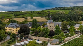 Öko auf dem Vormarsch