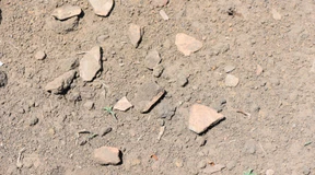 Wie Holzkohle das Klima schützt