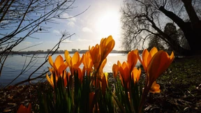 Sonne und fast 20 Grad erwartet