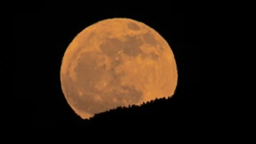 Welch Glanz aus der Abwasserrinne