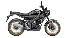 Weitblick mit Rückschau