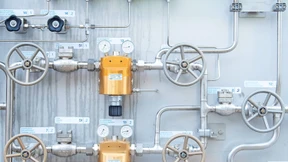 So doof ist die Taxonomie doch nicht