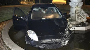 Schwäne vor dem Abflug