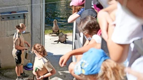 Augensalbe für Robbe Egoli