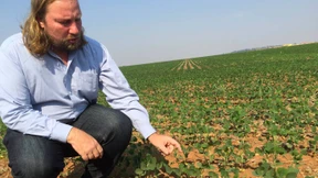 Reise ins Herz der Finsternis