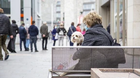 Lange Schlangen, kurzes Vergnügen