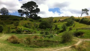 Von wegen Kaitiakitanga