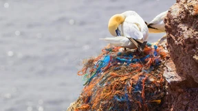 Wieso ist das Thema Plastikmüll so umstritten?
