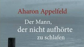 Die Geschichte vom schlafenden Jungen