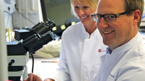 Wie das Coronavirus die Lunge verändert