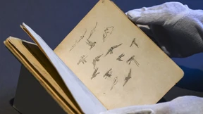 Wohin geht das Skizzenbuch?