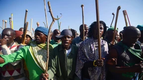 Palladium ist das Metall der Stunde