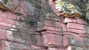 Von sakraler Schönheit