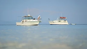 Wohin mit 1 Million Euro?