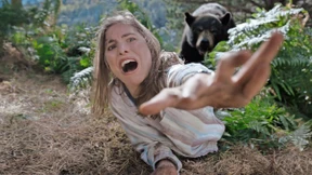 Von Honig wird niemand so irre