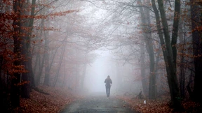 Privatheit wird Diebstahl