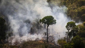 EU-Parlament schiebt Mercosur-Abkommen auf