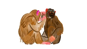 Fremd, aber nicht Feind