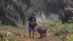 Indonesien plant WTO-Klage gegen EU-Zölle