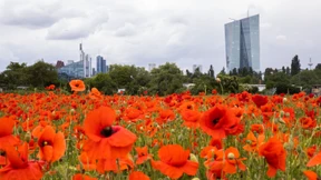 Die EZB beginnt mit der grünen Geldpolitik