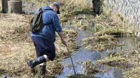 Wenn Augenwülste den Krokodil-Experten stutzig machen
