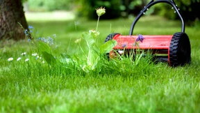 Italienischer Hausmeister bietet Einbrecher Job an