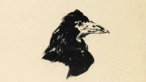 Würfelwurf in die Moderne