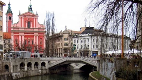 Hier ist der Bienenfleiß zu Hause