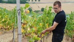 Nackiger Riesling von der Nahe