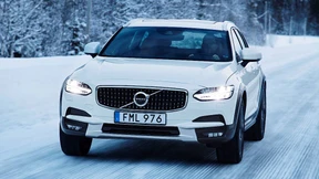 Ein feiner Rohling auf Abwegen