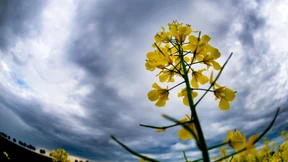 Der heiße Tag bringt Blitz und Donner