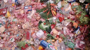 Die große Verschwendung