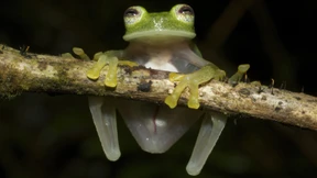 Die Kunst des Unsichtbaren