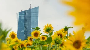 Eine Herausforderung des Jahrhunderts