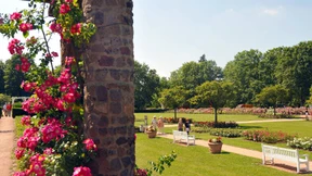 Absage als „Schlag mit dem Hammer“