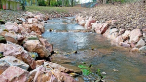 Warum 100 wilde Bäche wichtig für die EU sind