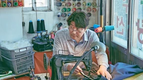 Ein Fall von zu viel Schönheit