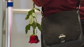 Gestrandete Urlauber aus Urlaub geholt